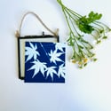 Japanese Maple - Mini Framed Cyanotype
