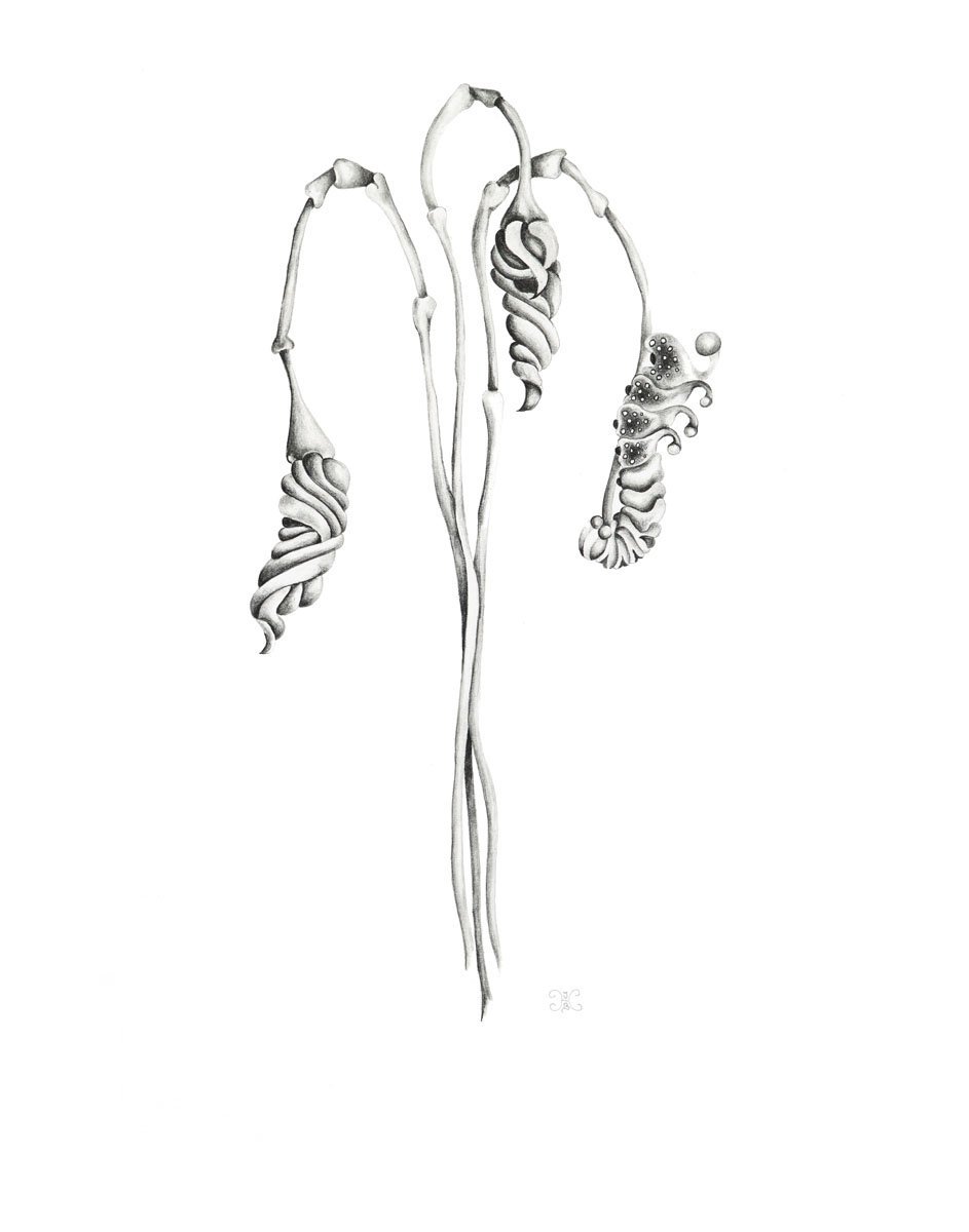 Image of The Pillager I - Limited Edition Giclee Print