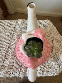 Image 3 of Melaco Echeveria in Dancing Lady Pitcher