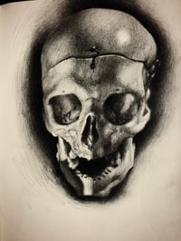 Image 2 of Sketchbook Drawing of a Skull - Drawn at 35,000 Feet, High in the Midnight Sky