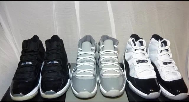 Space Jam, Cool Grey, and Concord 11s