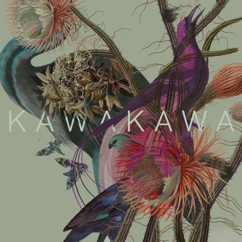Image of Kawakawa "Island Species" - CD (Digipak)