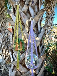 Image 4 of Budget Friendly Plant Hanger