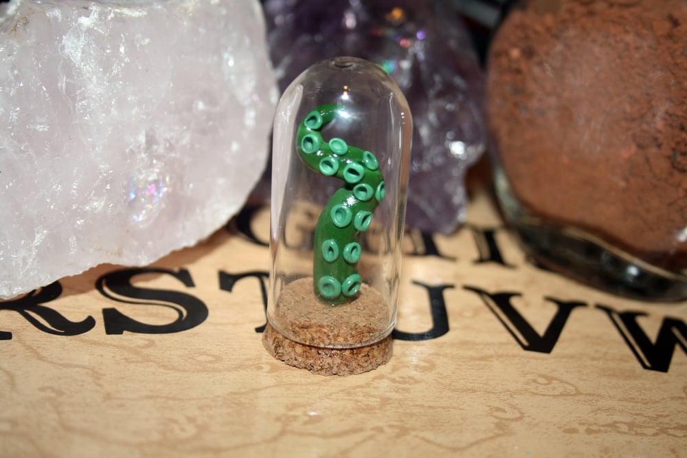 Image of Faux Specimen - Mini Tentacle