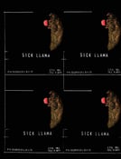 Image of 43 Sick Llama