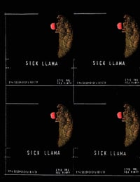 43 Sick Llama