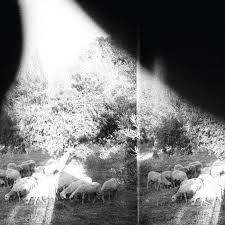 Image of Godspeed, You Black Emperor! // Asunder, Sweet And Other Distress