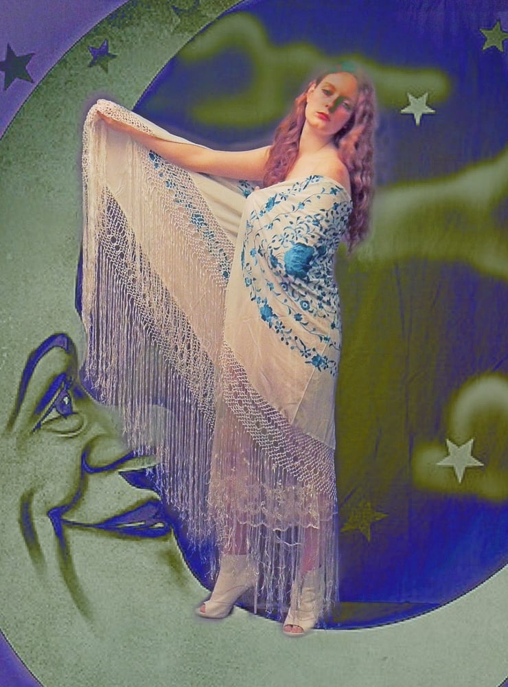 Image of Lady Moon  -  huge silk embroidered piano shawl