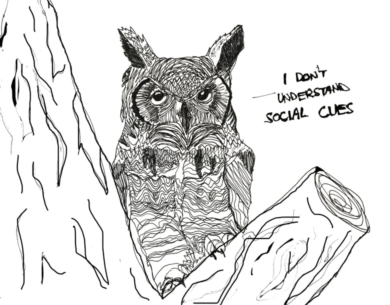 Image of Socially Awkward Owl