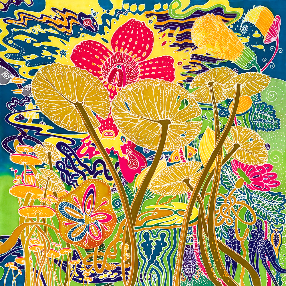 Image of Lilly Pond 