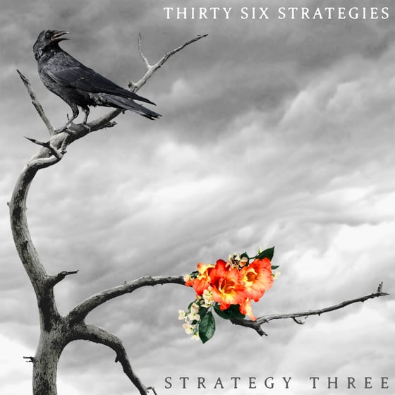 Image of Thirty Six Strategies - Strategy Three