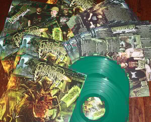 Image of EPICARDIECTOMY Putreseminal Morphodysplastic Virulency GREEN LP