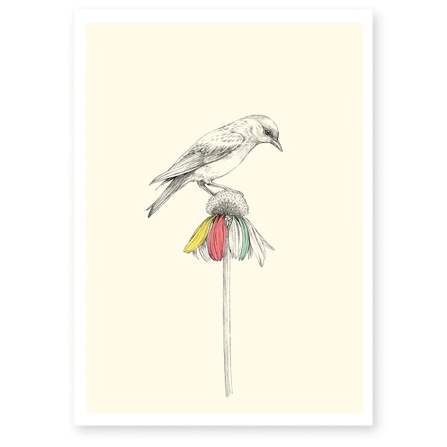 Image of Affiche A4 Oiseau et fleur