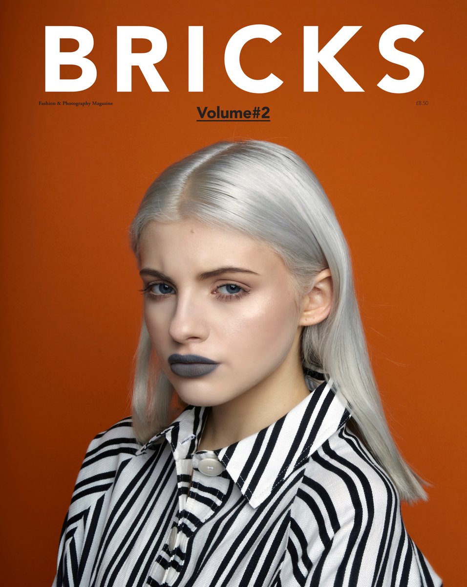 Bricks Magazine - Volume 2 | Bricks Magazine