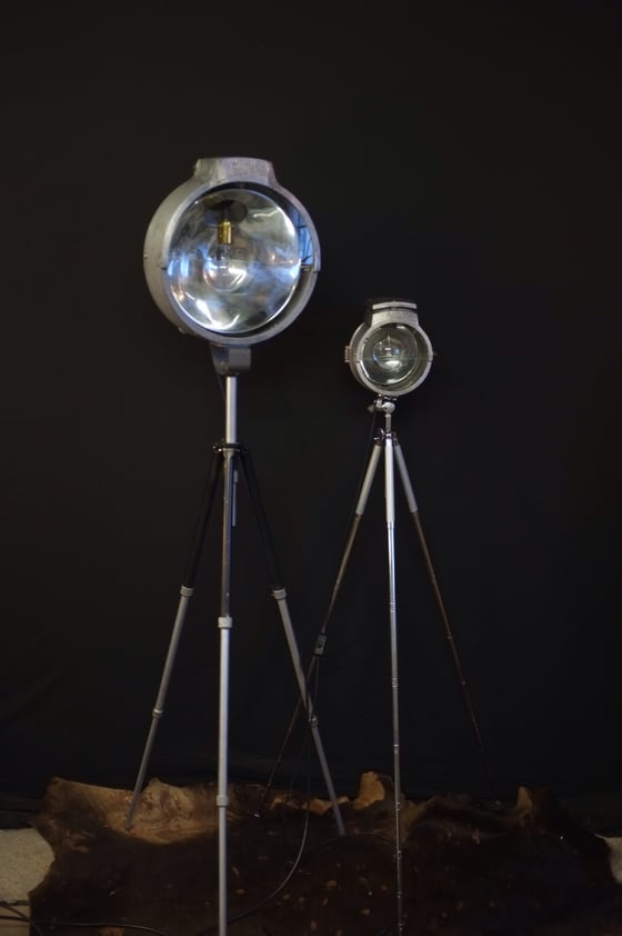 Image of Vintage Bullfinch Spotlight