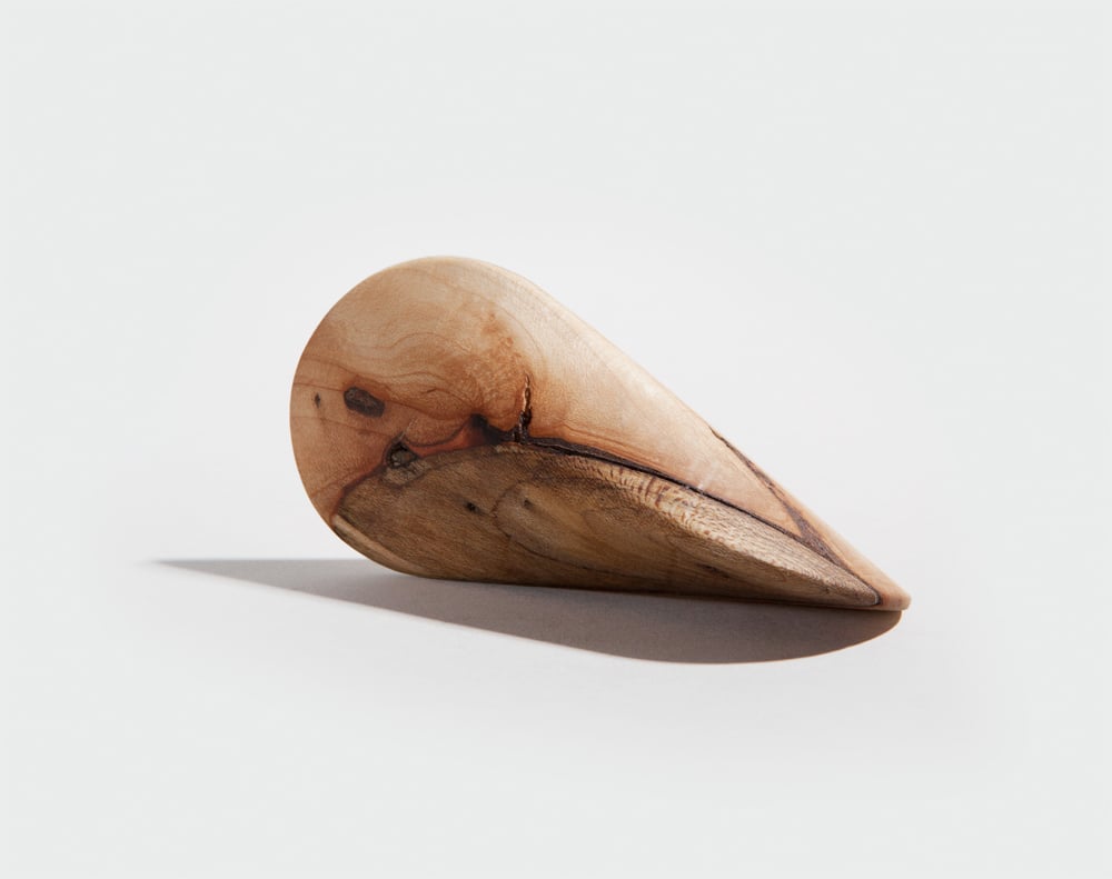 Image of The Seashell Wobbler