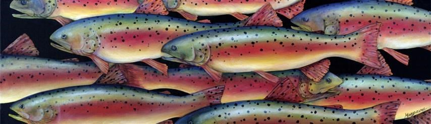 Image of "Rainbow Trout" Canvas Gicleé