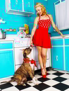 Image of Pinup & Pitbull 