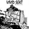 Vivid Sekt - Dance Among The Debris 12"