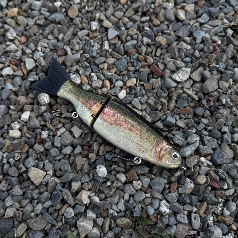 Image of 8 inch slowsink trout 