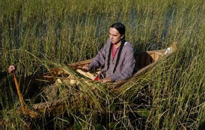 GRASS ROOTS! TRUE Native American WILD Rice-Bones-Muscle-Low Glycemic-Heart [1/4 Lb.-1/2 Lb.]