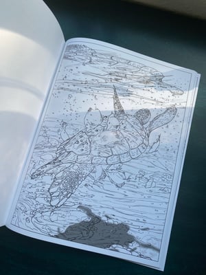 Image of Local waters coloring book