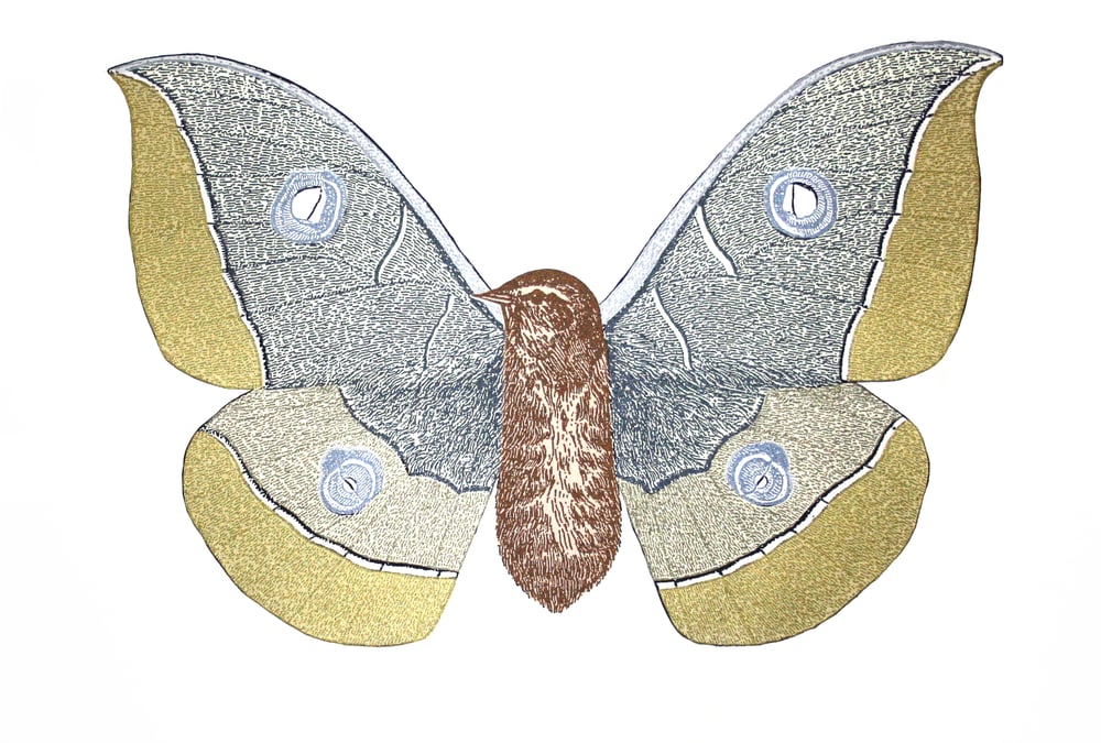 Image of Giant Golden Moth-bird 