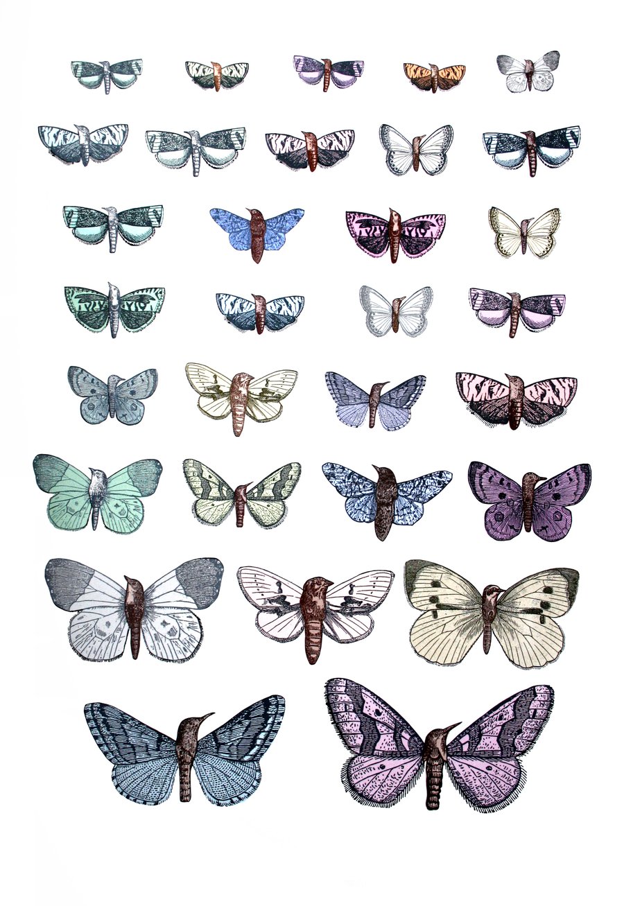 Image of The Transgenic Cabinet