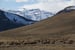 Image of Elk Herd in Jackson Hole