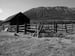 Image of Barn and Coral in the Grays River Area