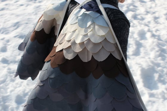 Image of Peregrine Falcon Wings