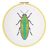Image of Green Beetle cross-stitch PDF pattern