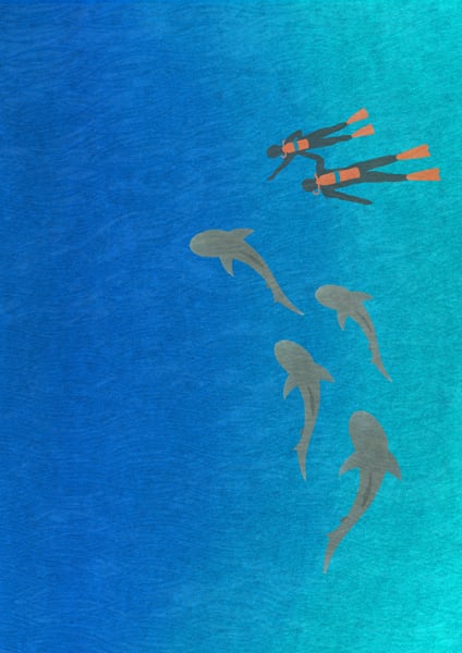 Image of Divers & Sharks