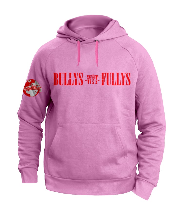 Image of Bullys Wit Fullys Hoodie Pink & Red