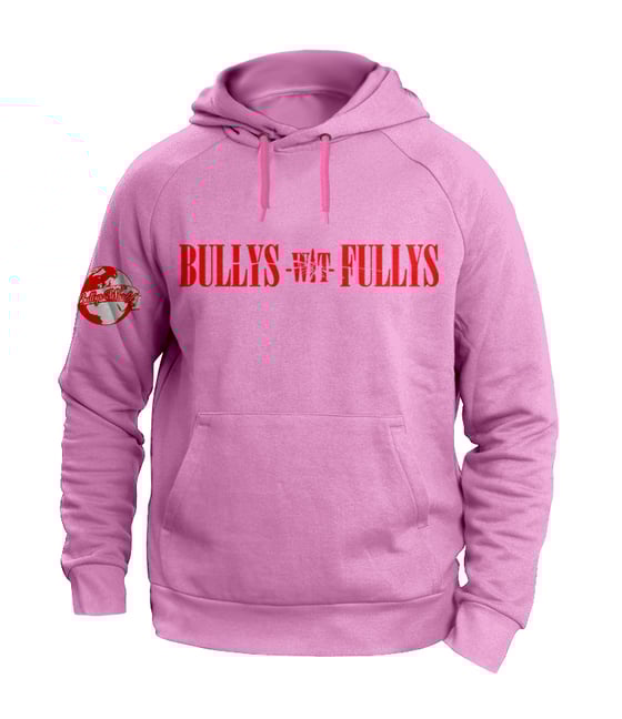 Image of Bullys Wit Fullys Hoodie Pink & Red