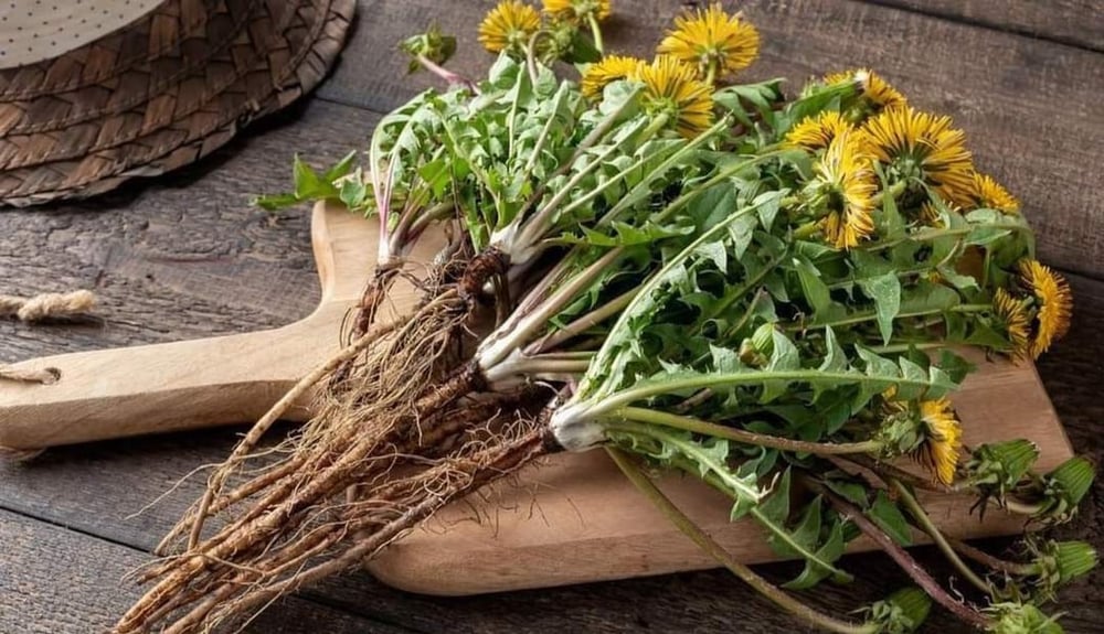 MAYA ELECTRIC CELL FOOD. Energy. Hemoglobin. Purifier. Calcium. Oxygen. Sickle Cell.