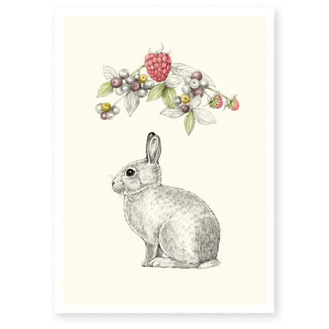 Image of Affiche A4 Lapin