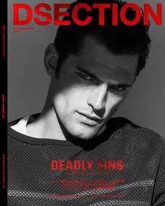 Image of DSECTION #13 // DEADLY SINS // COVER 1