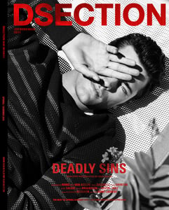 Image of DSECTION #13 // DEADLY SINS // COVER 2