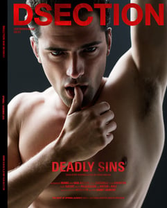 Image of DSECTION #13 // DEADLY SINS // COVER 3