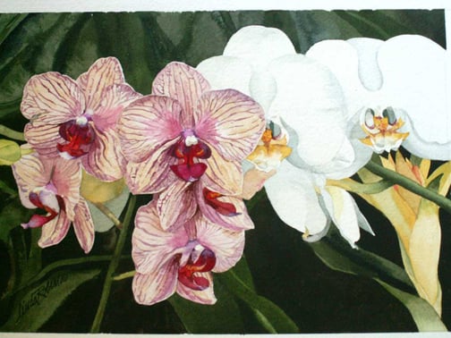 Image of Only Orchids giclee