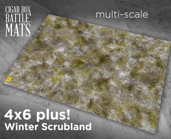 Image of Winter Scrubland -- 4'x6' plus -- #191