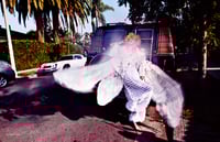 Image 5 of Schön! 28 | Maddie Ziegler #Happy / eBook Download