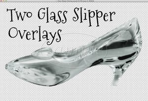 Image of Glass Slipper Overlays
