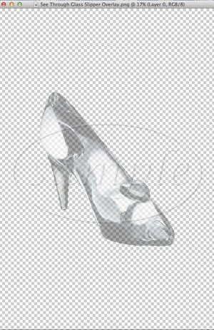 Image of Glass Slipper Overlays