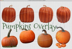 Image of Pumpkins Overlay