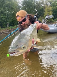 Image 3 of Mojo Acorn