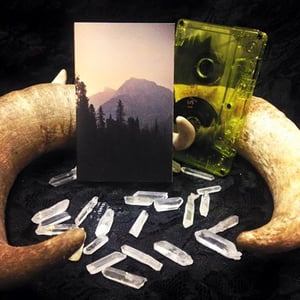 Image of 021: Evergreen Refuge - As the Fires Burn