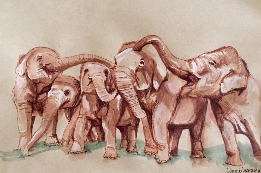 Image of Happy Elephant Family