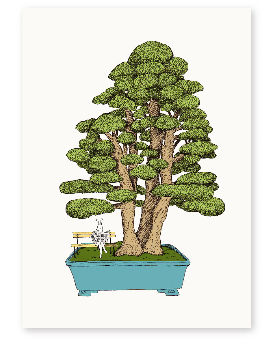 Bonsai' A4 Limited Edition Art Print | Annie Davidson